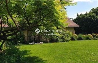 Eladó Leányfalui családi ház hirdetés (17132778)