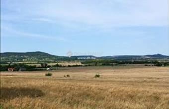 Eladó Mindszentkállai külterületi telek hirdetés (79389958)