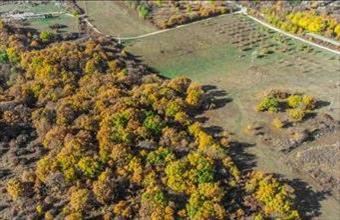 Eladó Szentkirályszabadjai fejlesztési ipari terület hirdetés (43478344)