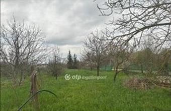 Eladó Szentesi hétvégi ház hirdetés (45924475)