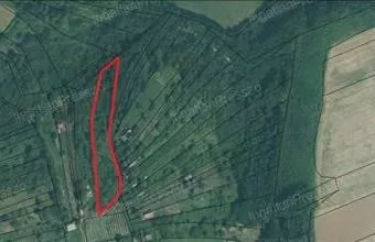 Eladó Csehi egyéb mezőgazdasági ingatlan hirdetés (57445349)