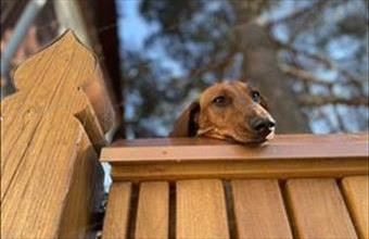 Eladó Nyíregyházai családi ház hirdetés (34748284)