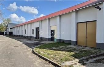 Eladó Kecskeméti raktár hirdetés (83587953)