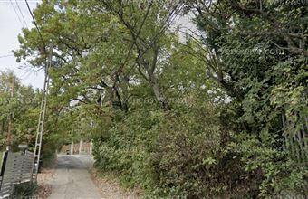 Eladó Szentendrei egyéb telek hirdetés (51144944)