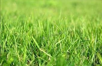 Eladó Dabasi egyéb telek hirdetés (79523214)