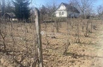 Eladó Debreceni egyéb telek hirdetés (37539912)