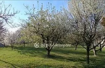 Eladó Győrzámolyi lakóövezeti telek hirdetés (64546886) Eladó Győrzámolyi lakóövezeti telek hirdetés (64546886)