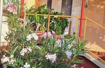 Eladó Jászberényi családi ház hirdetés (25394978)