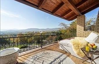 Eladó Szentendrei családi ház hirdetés (74467419)