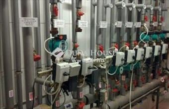 Eladó Balatonlellei családi ház hirdetés (43427989)