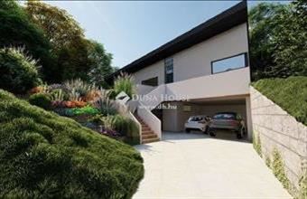 Eladó Szentendrei családi ház hirdetés (71785554)