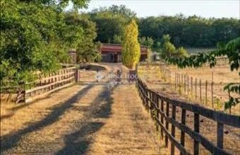 Eladó Erdőkertesi családi ház hirdetés (49972748)