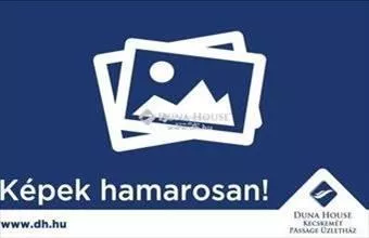 Eladó Kecskeméti családi ház hirdetés (38444712)