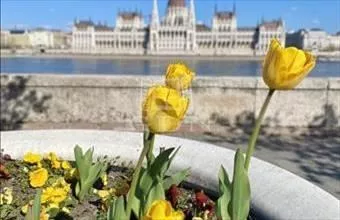 Eladó Budapest I. kerületi tégla lakás hirdetés (56453488) Eladó Budapest I. kerületi tégla lakás hirdetés (56453488)