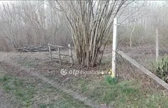 Eladó Ráckevei lakóövezeti telek hirdetés (33389948) Eladó Ráckevei lakóövezeti telek hirdetés (33389948)