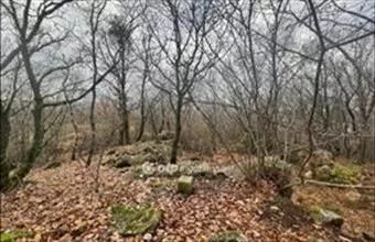 Eladó Budapest II. kerületi külterületi telek hirdetés (54991543) Eladó Budapest II. kerületi külterületi telek hirdetés (54991543)
