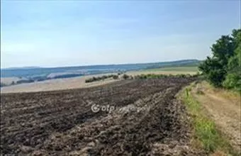 Eladó Szomori külterületi telek hirdetés (85833938) Eladó Szomori külterületi telek hirdetés (85833938)