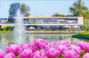 Eladó Hévízi egyéb lakás hirdetés (97923323)