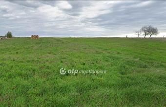 Eladó Vácszentlászlói lakóövezeti telek hirdetés (64142523)