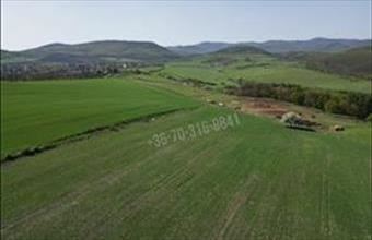 Eladó Szokolyai egyéb telek hirdetés (93713546)