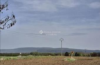 Eladó Környei külterületi telek hirdetés (43913597)