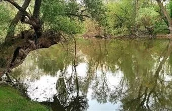 Eladó Győri üdülőövezeti telek hirdetés (42936793) Eladó Győri üdülőövezeti telek hirdetés (42936793)