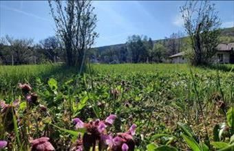 Eladó Zebegényi egyéb telek hirdetés (87338694)