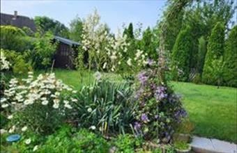 Eladó Herceghalomi családi ház hirdetés (88774934)