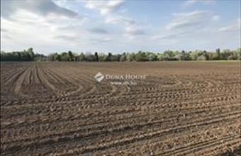 Eladó Gárdonyi külterületi telek hirdetés (38547198)