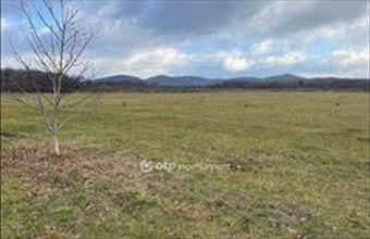 Eladó Budapest II. kerületi külterületi telek hirdetés (43224833)