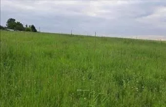 Eladó Környei termőföld, szántó hirdetés (92539477) Eladó Környei termőföld, szántó hirdetés (92539477)