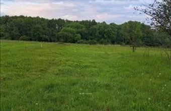 Eladó Környei külterületi telek hirdetés (94474124) Eladó Környei külterületi telek hirdetés (94474124)