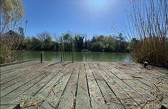 Eladó Gyomaendrődi egyéb telek hirdetés (25161259)