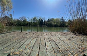 Eladó Gyomaendrődi egyéb telek hirdetés (25161259)