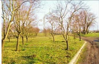 Eladó Dunaföldvári fejlesztési ipari terület hirdetés (83532591)