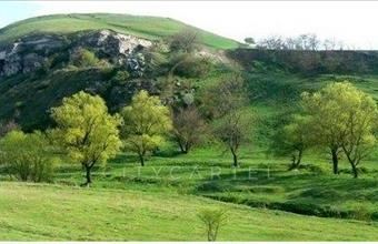 Eladó Sóskúti termőföld, szántó hirdetés (88567477)