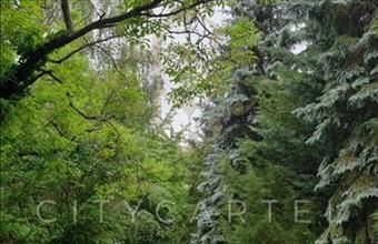 Eladó Budakeszi lakóövezeti telek hirdetés (48645975)