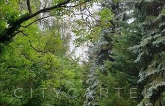 Eladó Budakeszi lakóövezeti telek hirdetés (48645975)