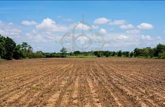 Eladó Dunaföldvári termőföld, szántó hirdetés (38471353)