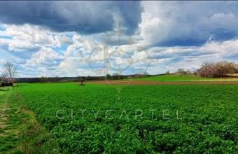 Eladó Dunaföldvári termőföld, szántó hirdetés (44332333)