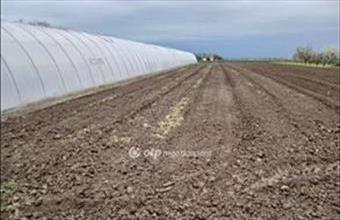 Eladó Csányi lakóövezeti telek hirdetés (72579928)