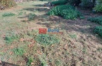 Eladó Zamárdi egyéb telek hirdetés (23394476)