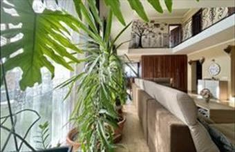 Eladó Oroszlányi ikerház hirdetés (74424786)