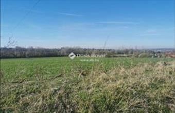 Eladó Szomódi külterületi telek hirdetés (33367325)