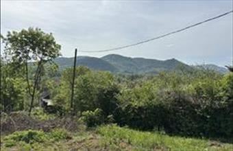 Eladó Nagymarosi egyéb telek hirdetés (54377774)