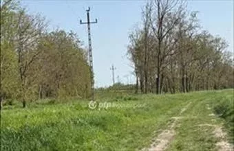 Eladó Ordasi egyéb mezőgazdasági ingatlan hirdetés (46454135) Eladó Ordasi egyéb mezőgazdasági ingatlan hirdetés (46454135)
