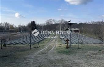 Eladó Nyírturai egyéb telek hirdetés (72878579)