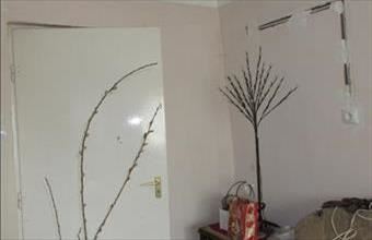 Eladó Kisvárdai családi ház hirdetés (77743762)