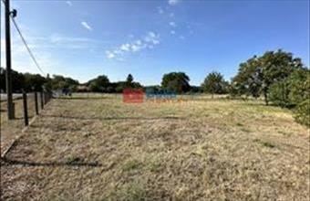 Eladó Albertirsai egyéb telek hirdetés (32439539)