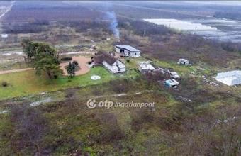 Eladó Dánszentmiklósi tanya hirdetés (89393877)